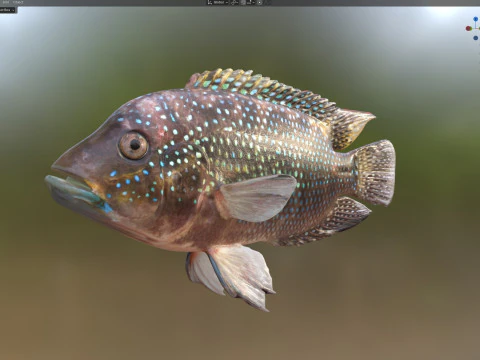 Jack Dempsey 3D Model