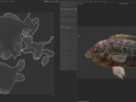 Jack Dempsey Modello 3D