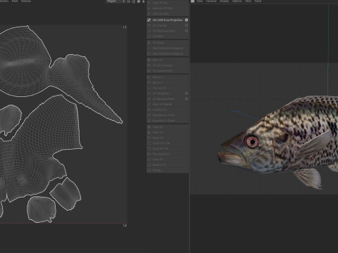 Giaguaro Guapote Modello 3D