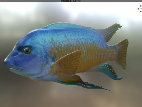 Pesce labeotrofo Modello 3D