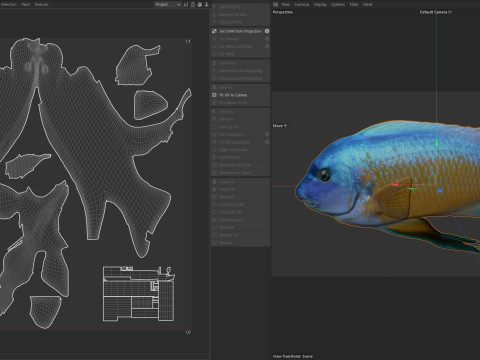 Pesce labeotrofo Modello 3D