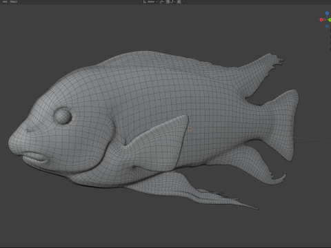 Pesce labeotrofo Modello 3D