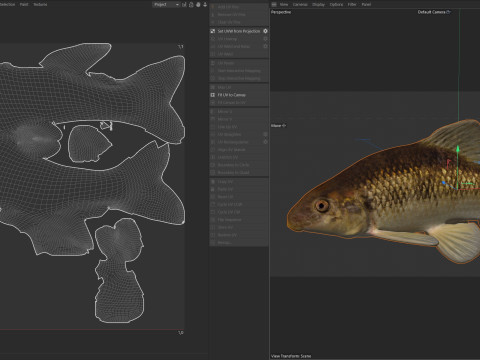 Pesce Chubsucker del lago Modello 3D