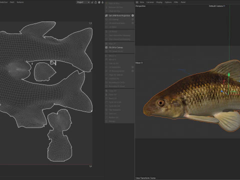 Lake Chubsucker fish 3D Model