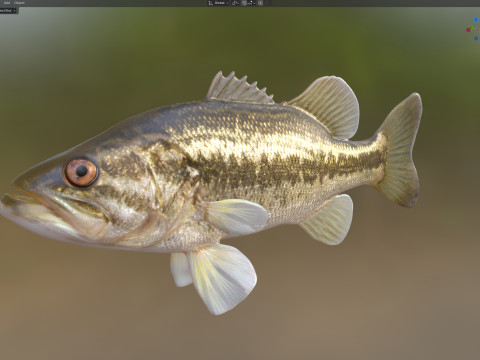 Pesce persico trota Modello 3D