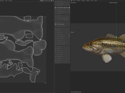 Pesce persico trota Modello 3D
