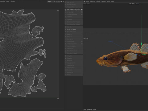 Pesce dormiente dalle guance spinose di grandi dimensioni Modello 3D