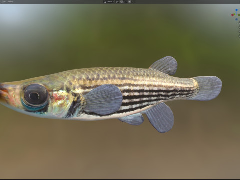 Gevoerde Topminnow-vis 3D Model