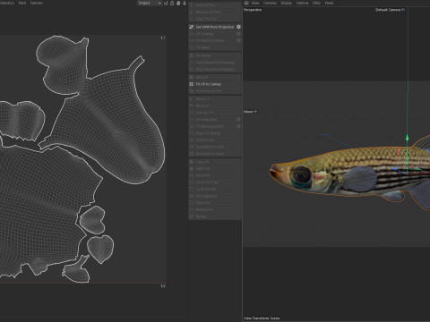 Gevoerde Topminnow-vis 3D Model