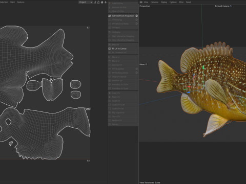 Pesce luna dall'orecchio lungo Modello 3D