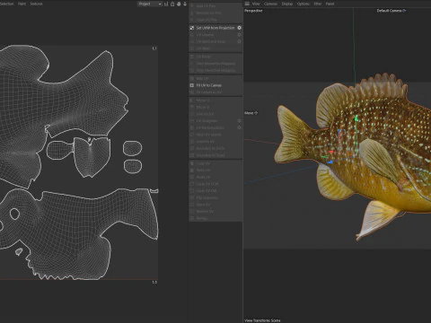 Longear Sunfish 3D Model