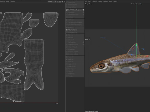 Longjaw Minnow fish 3D Model