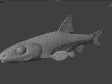Pesce ciprinide dalla mascella lunga Modello 3D