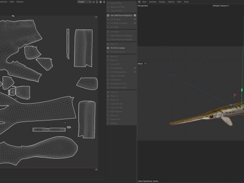 Pesce luccio dal naso lungo Modello 3D