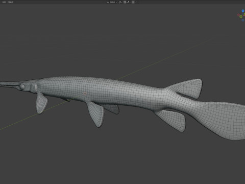 Pesce luccio dal naso lungo Modello 3D
