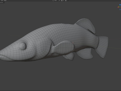 Killifish dal naso lungo Modello 3D