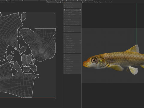 Langnose Shiner-vis 3D Model