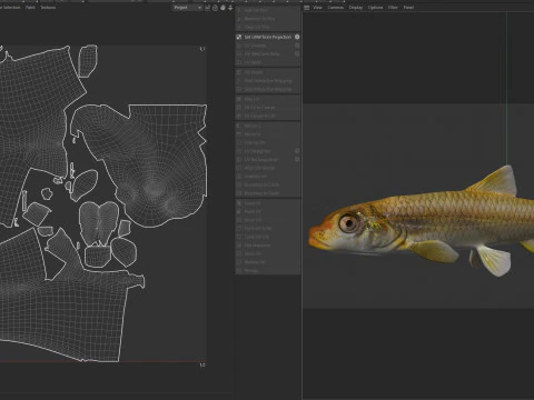 Longnose Shiner fish 3D Model
