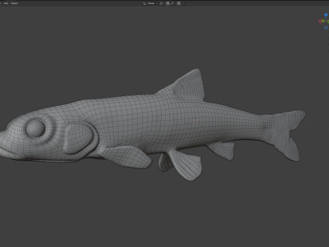 Langnose Shiner-vis 3D Model