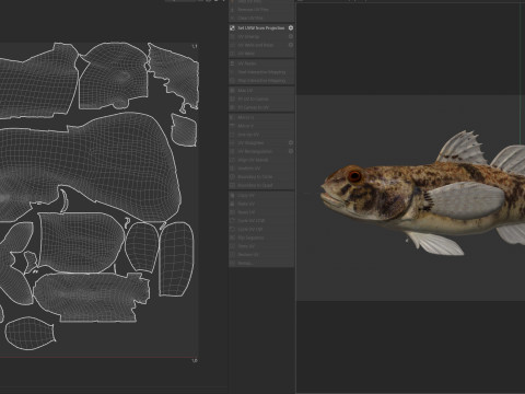 Pesce ghiozzo lira Modello 3D