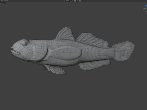 Pesce ghiozzo lira Modello 3D