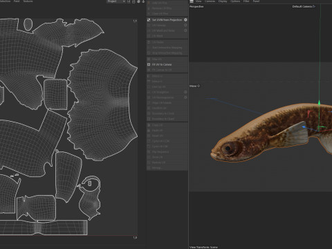 Pesce Rivulus della mangrovia Modello 3D