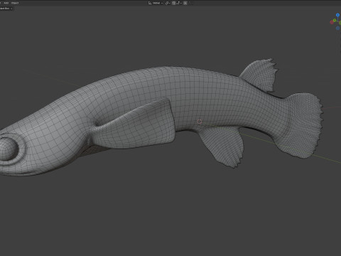 Pesce Rivulus della mangrovia Modello 3D