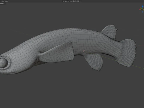 Mangrove Rivulus fish 3D Model