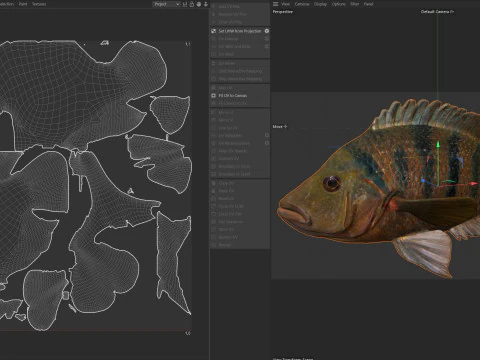 Mayan Cichlid fish 3D Model