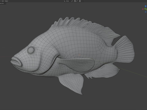 Pesci Ciclidi Maya Modello 3D