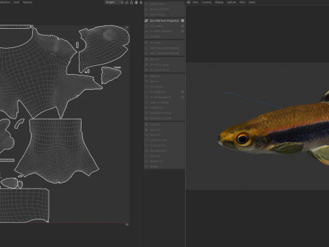 Metallic Shiner fish 3D Model