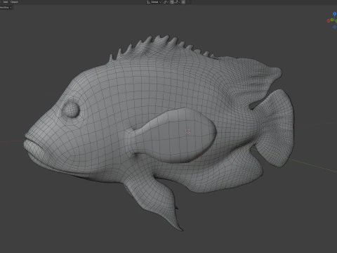 Midas Cichlid fish 3D Model