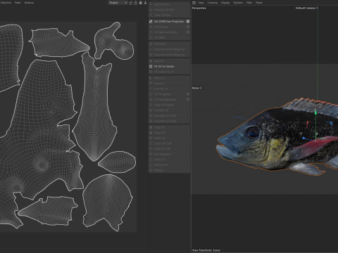 Мозамбікська риба тілапія 3D Модель