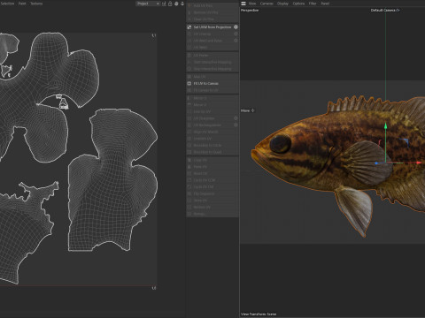 Błotny samogłów Model 3D