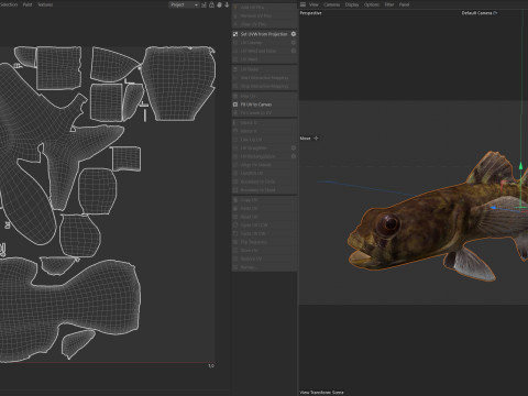 Grondel vis 3D Model