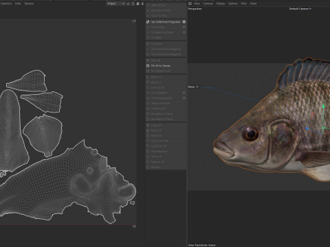 Pesce tilapia del Nilo Modello 3D