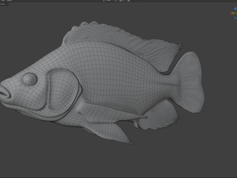 Pesce tilapia del Nilo Modello 3D