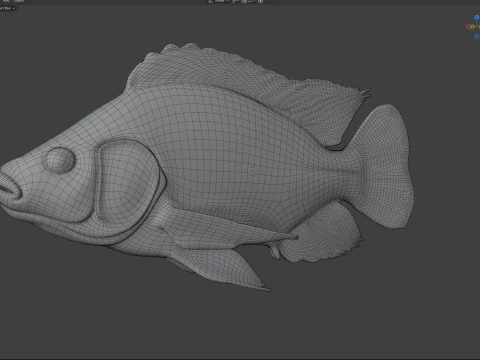 Nile Tilapia fish 3D Model