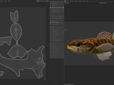 Okaloosa Darter-vis 3D Model