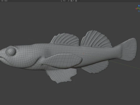 Okaloosa Darter fish 3D Model