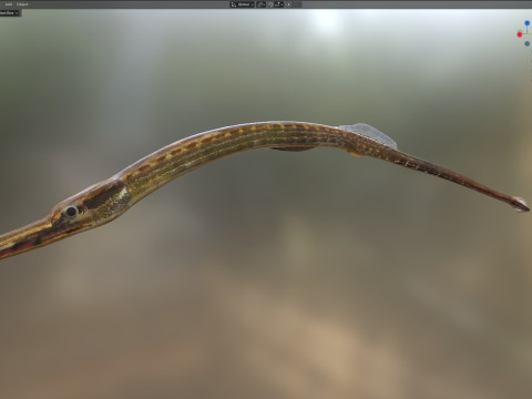 负鼠海龙鱼 3D 模型