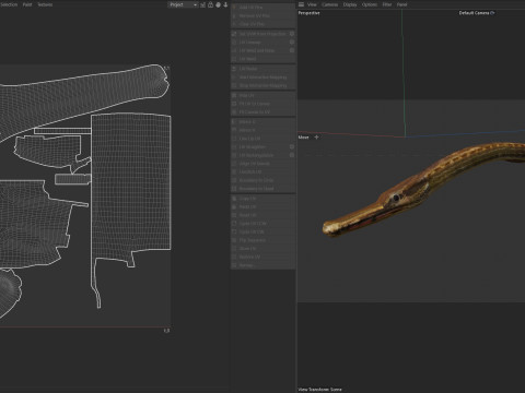 负鼠海龙鱼 3D 模型