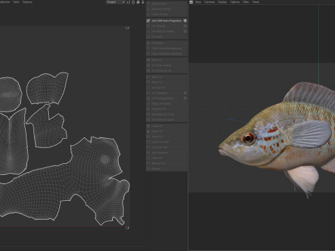 Peixe-lua com manchas laranjas Modelo 3D