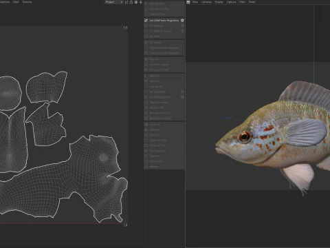 Orangespotted Sunfish 3D Model