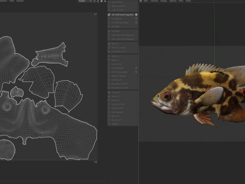 Oscar fish 3D Model