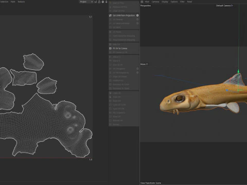 Pallid Chub 3D Model
