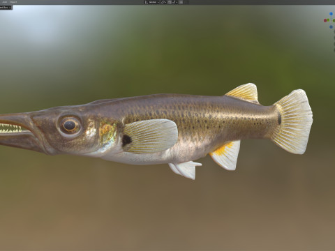 Fondue brochet Modèle 3D