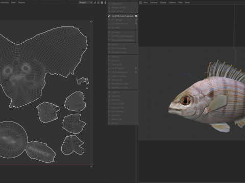 ピンフィッシュ 3Dモデル