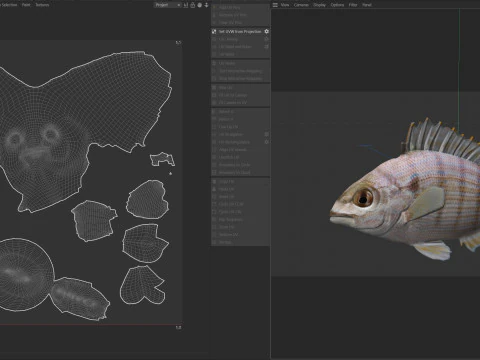 Pinfish 3D Model