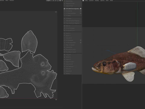 Pesce persico pirata Modello 3D